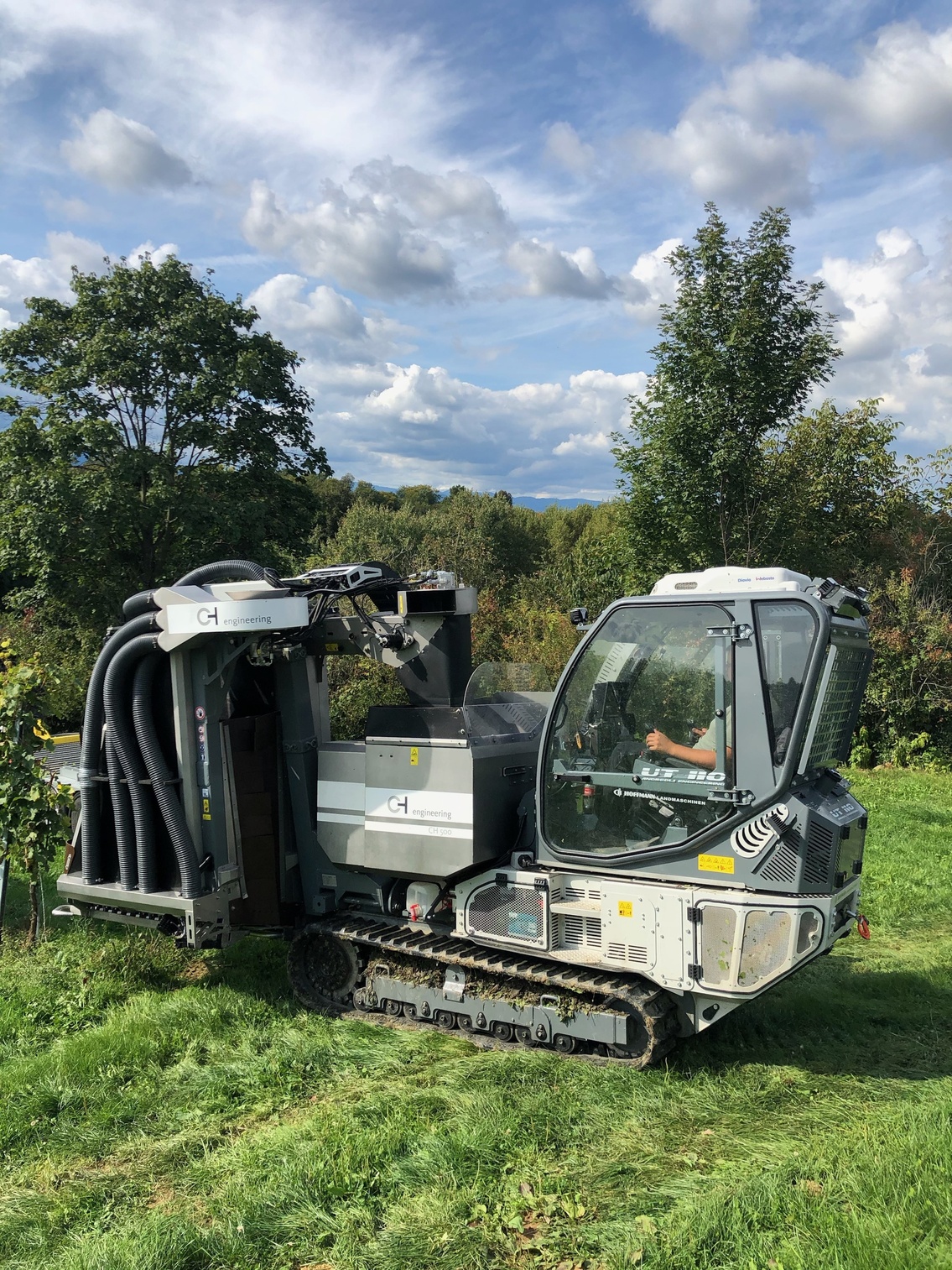 Weinlese-Maschine 2019