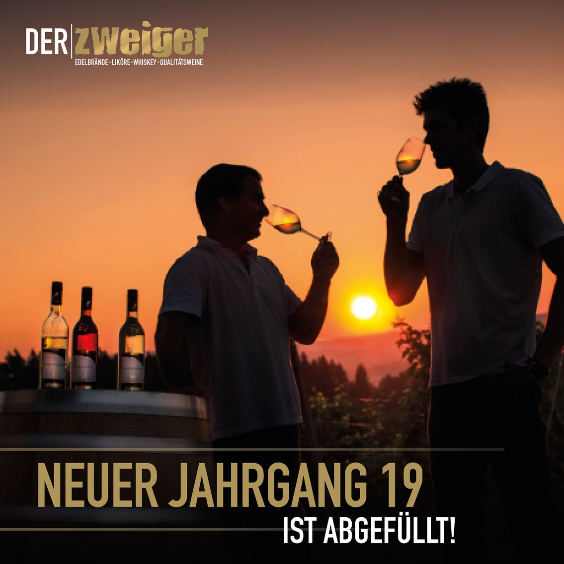 Wein-Jahrgang 2019 ist abgefüllt
