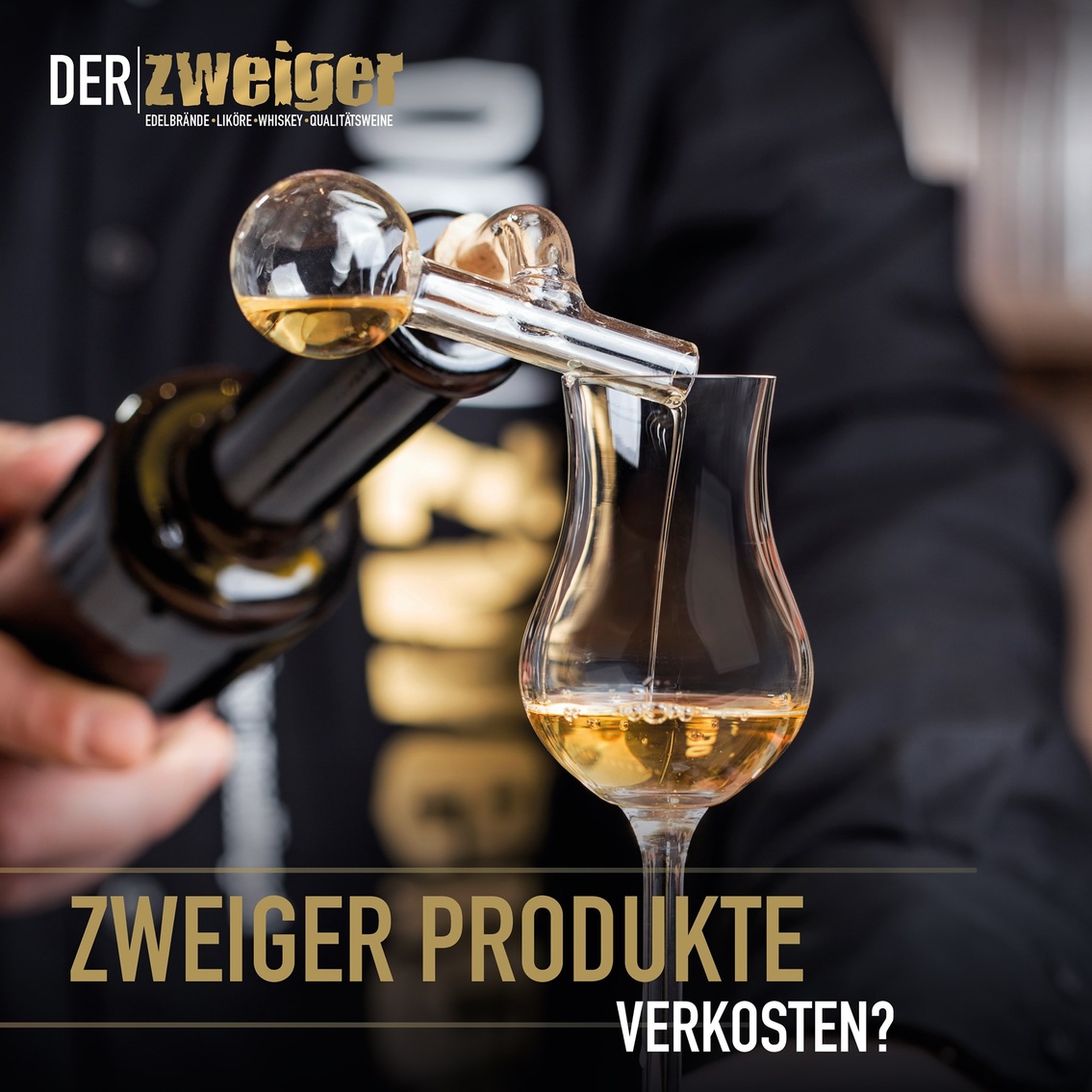 Verkostungen & Führungen