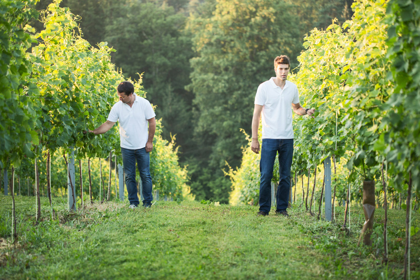 Zweiger Destillerie Weingut