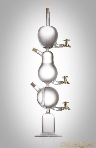 Design-3 Fruits Flasche