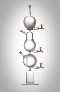 Design-3 Fruits Flasche